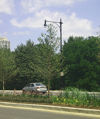 LaSalle St Reconstruction Median